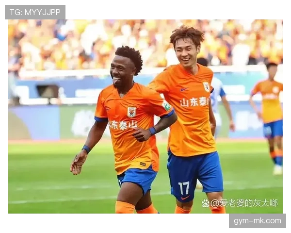 南特足球俱乐部调整转会策略，强化阵容深度备战新赛季