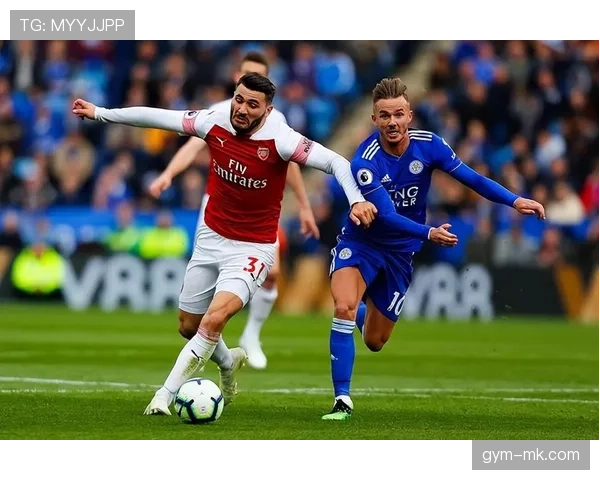 埃因球队结构 埃因球队结构